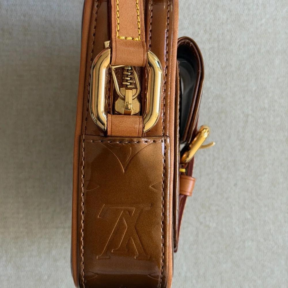 Louis Vuitton stylish brown